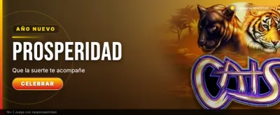 Live Casino